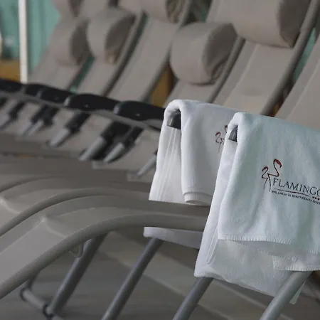 Flamingo Wellness 酒店 4*