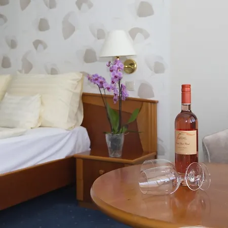 Flamingo Wellness 酒店 4*